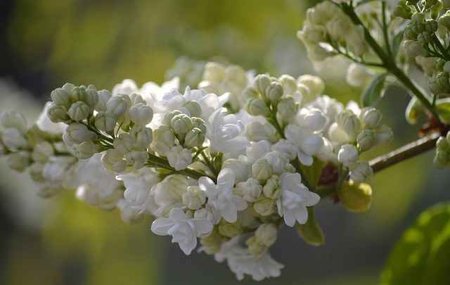 Jakie są najczęstsze przyczyny osiadania posadzek? Analiza ekspertów